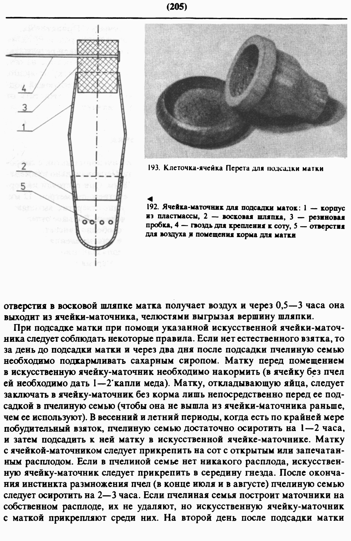Как сделать отводок есть плодная матка Как сделать отводок есть плодная матка